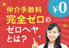 ゼロヘヤとは?
